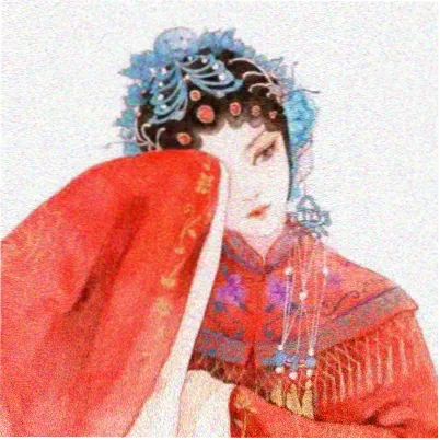 观众南栀的头像